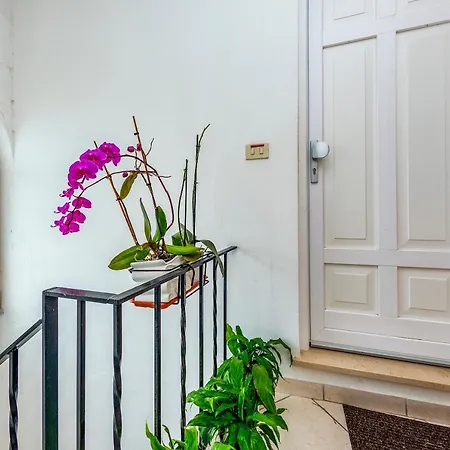Living Appartement Capri